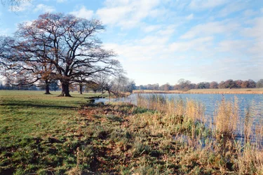 Näkymä järvelle, Corsham Court, Wiltshire