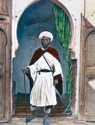 Mauri