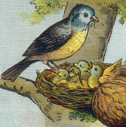 Lintu ruokkii poikasiaan pesässä. Kaiverrus "Alphabet de ma petite fille". Bernardin-Bechet ja Fils, kirjakauppias-kustantajat, Pariisi, noin 1895. Rikkoutumaton albumi kankaalle. Bibliotheque des babes. 12 sivua. Albumi, joka sisältää lukumenetelmän ja ku