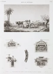 Animal Power Animal-powered irrigation, Egypti, n. 1798