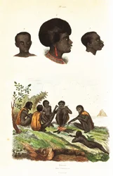 Australian aboriginaalit ja Länsi-Papuan Waigeon alkuasukkaiden päät 1834-1839 (kaiverrus)