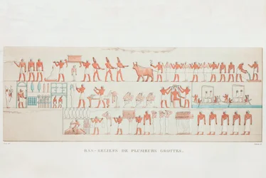 Kirja: Egyptin kuvaus