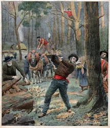 Bucherons. Metsämiehet.