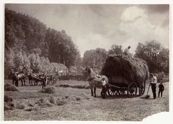 Maanviljelysnäkymät, sadonkorjuu ja varastointi, Heinänteko ennen vuotta 1900, c 1890
