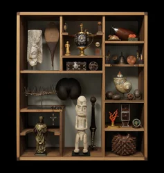 Finchin ja Co:n Curiosities kabinetti