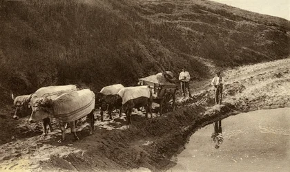 Baskimaisilla kankailla päällystetty härkäkoukku, 1900-luvun alku (b/w kuva)