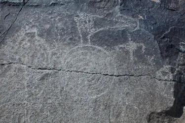 Intiaanien kalliokaiverrukset - Eläin- ja symbolikuvaukset - Petroglyph National Monument - Albuquerque, New Mexico, Yhdysvallat (USA)