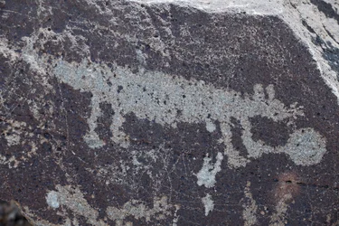 Eläimiä esittävät intiaanien kalliokaiverrukset - Petroglyph National Monument - Albuquerque, New Mexico, Yhdysvallat (USA)
