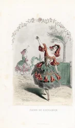La fee de la fleur de grenade danse - Charles Geoffroyn (1819-1882) etsaus Jean Ignace Isidore Gerard dit J.J.J.J.Granvillen (1803-1847) Les fleurs animees -teokseen tekemän kuvituksen pohjalta.