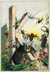 K-kirjain kuten Korrigans. Mr. Marinierin taiteelliset aakkoset. Toimittanut Henry Sicard, 1800-luvun loppu. Kromolitografien mainostaminen apteekeissa myytäville tuotteille. Mitat: 12,5 x 9 cm