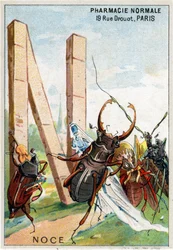 N-kirjain häänä. Mr. Marinierin taiteelliset aakkoset. Toimittanut Henry Sicard, 1800-luvun loppu. Kromolitografien mainostaminen apteekeissa myytäville tuotteille. Mitat: 12,5 x 9 cm