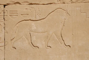 Leijonaveisto, Karnak, Luxor, Egypti (kuva)