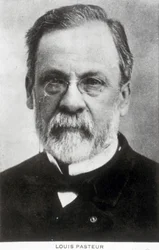 Louis Pasteur, ranskalainen kemisti ja mikrobiologi, noin 1885.