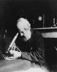 Mordecai Cubitt Cooke, englantilainen kirjailija ja kuvittaja, n. 1900