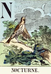 N : Nocturne - Metsästysaakkoset, n.1890 (kaiverrus)