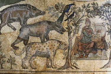 Picardie 073 - Laon - Yhdistysten talo - Blanzyn roomalainen mosaiikki - "Orfee hurmaa eläimiä"