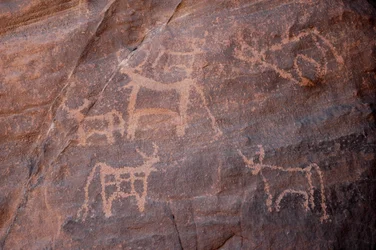 Kalliotaide, Prehistoire: Kaiverrus karjasta, joista yksi on alhaalla vasemmalla, Uweinatin vuoristossa, Egyptissä. (Ajanjakso 8000-3000 vuotta eKr.). Valokuvaus
