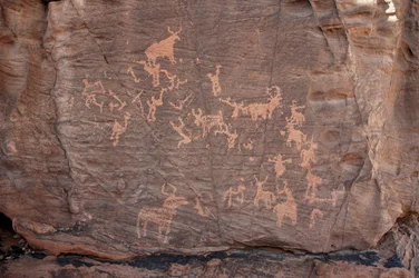 Kalliotaide, esihistoria: Kaiverrus ryhmästä nautaeläimiä, strutseja ja hahmoja Uweinatin vuoristossa, Sudanissa (Karkur-Talh tai Karkur Talh). Ajanjakso 8000-3000 vuotta eKr. Valokuvaus