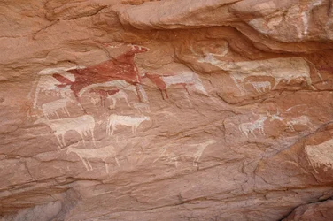 Kalliotaide, esihistoria: Maalaus karjajoukosta koristeellisessa suojissa, Uweinatin vuoristossa, Sudanissa (Karkur-Talh tai Karkur Talh). Ajanjakso 8000-3000 vuotta eKr. Valokuvaus