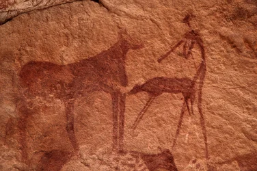 Kalliotaide, esihistoriallinen: Kalliomaalaus lehmästä, vasikasta ja hahmosta (jousimies) koristeellisessa suojissa Uweinatin vuoristossa, Egyptissä. (Ajanjakso 8000-3000 vuotta eKr.). Valokuvaus