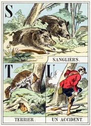 S T U : Sanglier, Terrieri, Un-onnettomuus - Metsästysaakkoset, n. 1890 (kaiverrus)