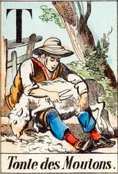 T Tonte des moutons - "Matalon aakkoset" 1800-luvun loppu (kaiverrus)