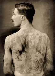 Tatuoitu brittiläinen merimies vuosien 1914-18 suuressa sodassa (näkymä takaa)
