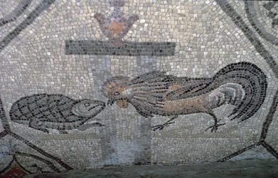 Kukko ja kilpikonna, yksityiskohta kristillisiä kuvia ja pakanallisia symboleja esittävästä koristeellisesta lattiasta, noin 313 jaa.