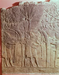 Sennacheribin armeijan (704-681 eKr.) Alammun piiritys yksityiskohta Niniven lounaispalatsin paneelista, noin 700 eKr. (kipsi) (katso myös 85705)