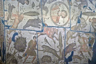 T-fanien mosaiikki faneilta, Turkki