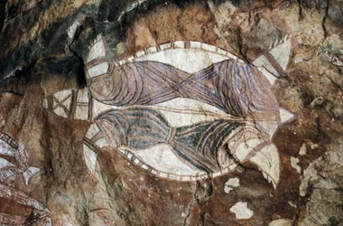 Kilpikonna, kalliomaalaus, Arnheminmaa, Pohjoisterritorio, Australia, aboriginaalikulttuuri