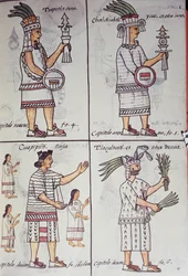 Tzapotlatena, Chalchiuhtlatonal, Cioapipitli ja Tliltecuhtli, Firenzen Codex, Kaksikielinen versio espanjaksi ja Nahuatl, General History of the Things of New Spain, Aztec