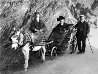 Iso-Britannia: Aasin vetämä kelpaamaton vaunu. 1906