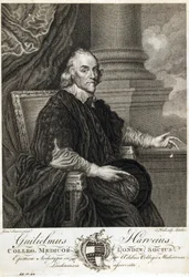 William Harvey, englantilainen lääkäri