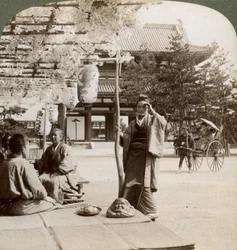 Roikkuvat wisteriaklusterit teehuoneen kuistilla, Kioto, Japani, 1904