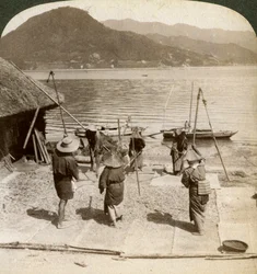 Huuhtelevaa ohraa kalastusrannan vieressä sisämerellä, Japanissa, 1904.