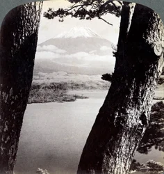 Fuji-vuori, katsottuna luoteesta, mäntyjen läpi Motosu-järvellä, Japanissa, 1904