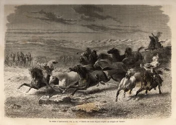 Rodeo Lauramarcassa (Ala-Peru), villihevosten pyydystäminen, ennen niiden rautamerkintää alueen omistajan nimikirjaimilla, jota pidettiin täydellisenä spektaakkelina, monia badaudeja kokoontui. Kaiverrus havainnollistamaan matkaa Quinquinin laaksoissa