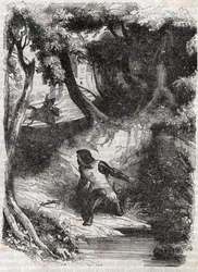 Astolph suihkulähteen reunalla - kaiverrus vuodelta 1851 Ludovico Ariostosta "" Furious Roland"" (Orlando furioso) (1500-luku), joka tunnetaan nimellä Ariosta - Painos, jonka Tressanin kreivi on kääntänyt italiasta ja julkaissut Gustave Harvard 1851