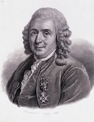 Carl Von Linné ruotsalainen luonnontieteilijä ja kirjailija (1707 - 1778) - "Hyödyllisten miesten muotokuva"