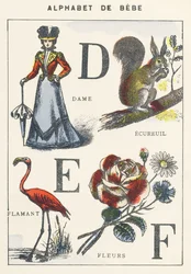 D E F: neiti, orava, flamingo, kukat