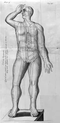 De Acupunctura, kirjoittanut W.Ten Rhijn. Lontoo 1683. Ensimmäinen akupunktiota käsittelevä länsimainen teksti.