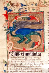 Dragon Decoree Lettrine Yksityiskohta 1300-luvun käsikirjoituksesta