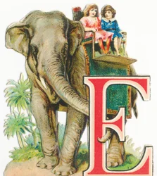E: Elefantti