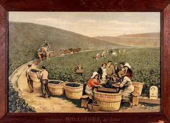 Sadonkorjuu Bollingerissa. noin 1900.