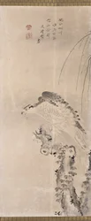 Hawks and Prey (muste paperille)