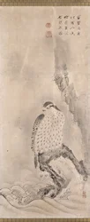 Hawks and Prey (muste paperille)