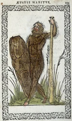 Homme sauvage - Jean Sluperiuksen "" Habits et effigies" -kirjassa