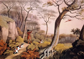 Fasaanien metsästys Englannissa. 1800-luvun kaiverrus. Gien, metsästysmuseo