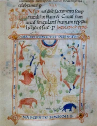 Valaistu sivu lampaista ja paimenista, osa Varmondon Codexista, C.1000